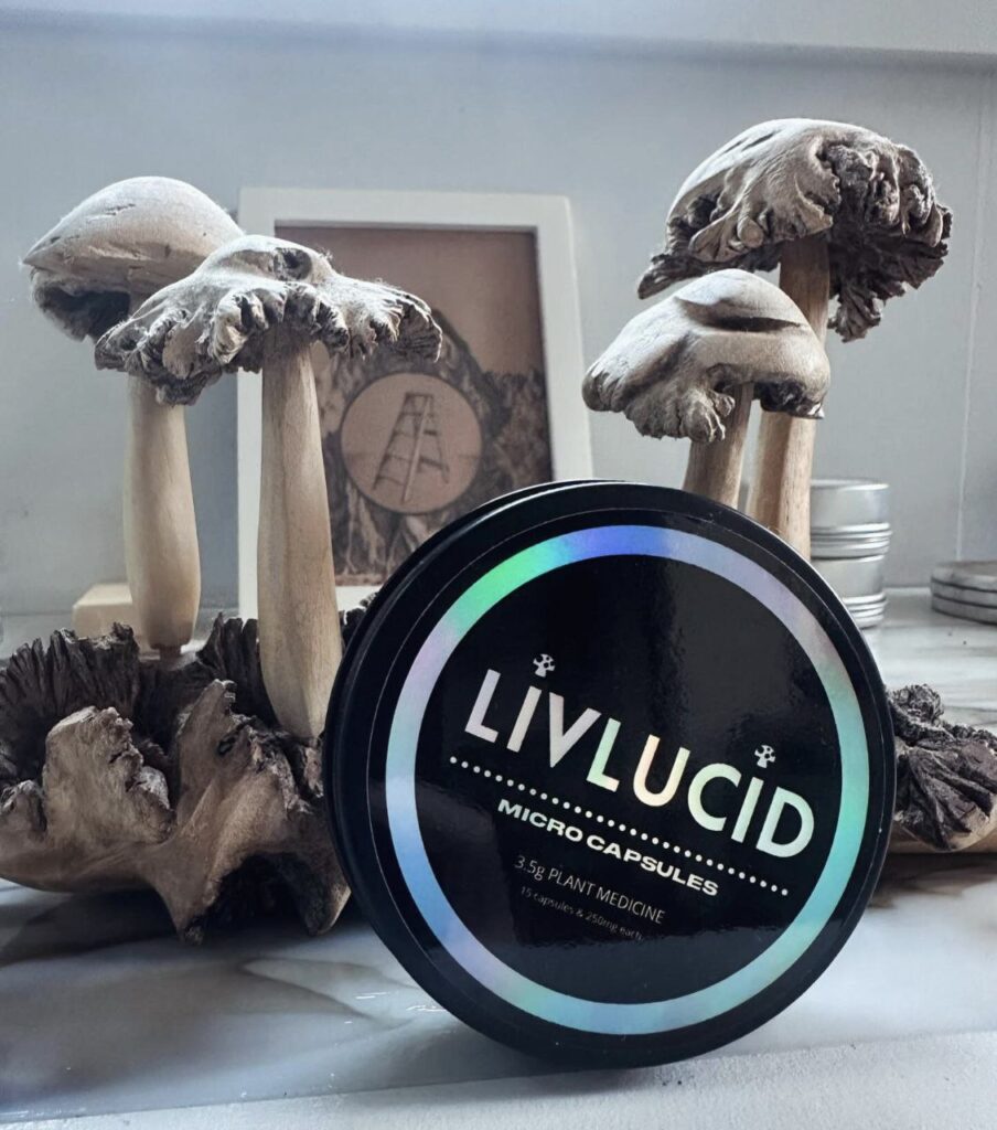 livlucid capsule